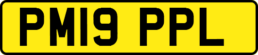 PM19PPL