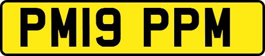 PM19PPM