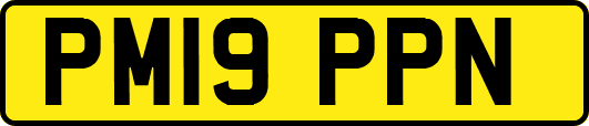 PM19PPN