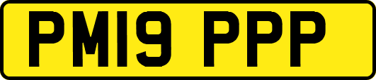 PM19PPP