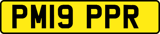 PM19PPR