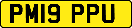 PM19PPU