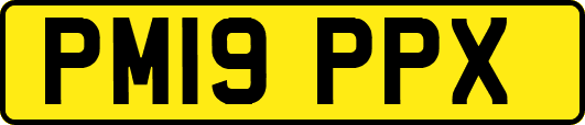 PM19PPX