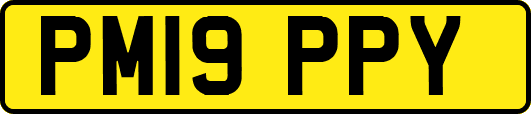 PM19PPY