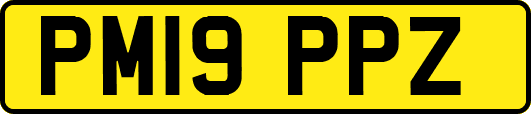 PM19PPZ