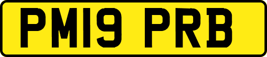 PM19PRB