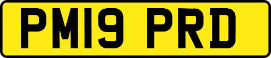 PM19PRD