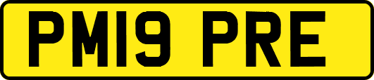 PM19PRE