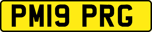 PM19PRG