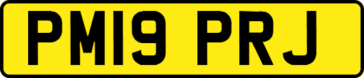 PM19PRJ