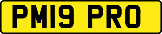 PM19PRO