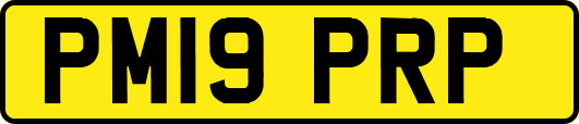 PM19PRP