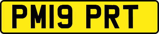 PM19PRT