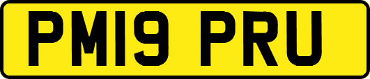 PM19PRU