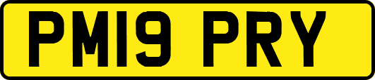 PM19PRY