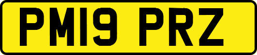 PM19PRZ