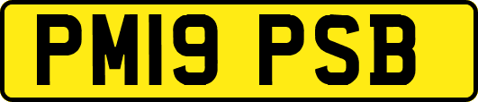 PM19PSB