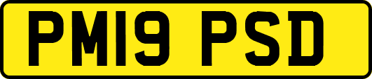 PM19PSD