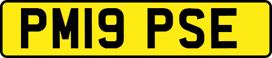 PM19PSE