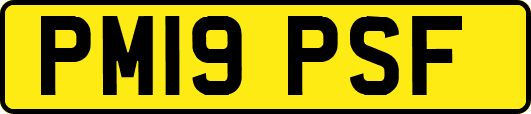 PM19PSF