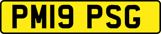 PM19PSG