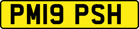 PM19PSH