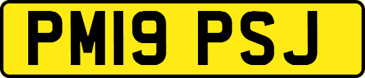 PM19PSJ