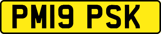 PM19PSK