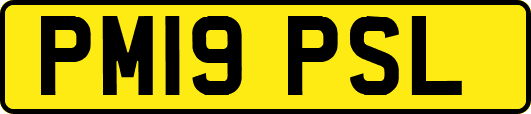 PM19PSL