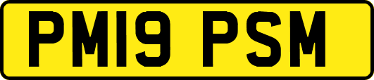 PM19PSM