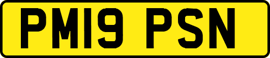 PM19PSN