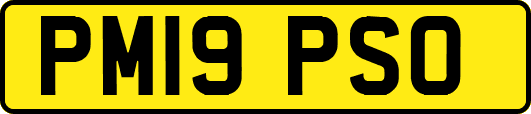 PM19PSO