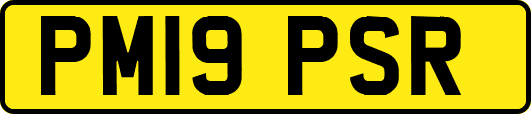 PM19PSR