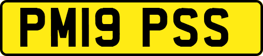 PM19PSS