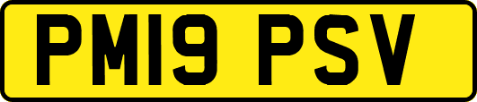 PM19PSV