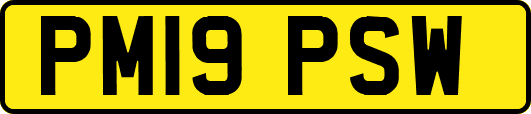 PM19PSW