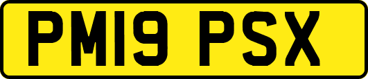 PM19PSX