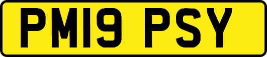 PM19PSY