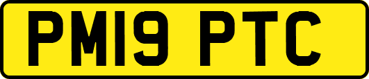 PM19PTC