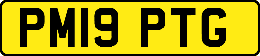 PM19PTG