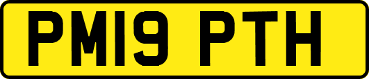 PM19PTH