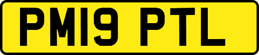 PM19PTL