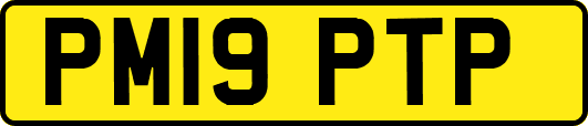 PM19PTP