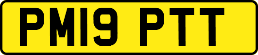 PM19PTT