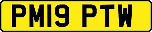 PM19PTW