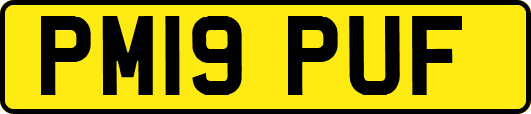 PM19PUF