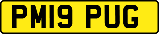 PM19PUG