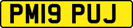 PM19PUJ