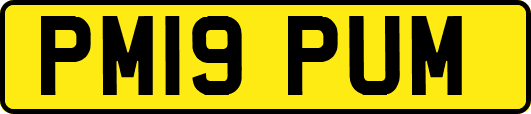 PM19PUM