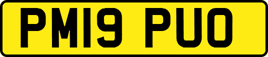 PM19PUO